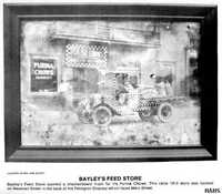 Bayley's Feed Store