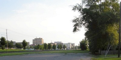 Trees in the foreground and downtown buildings in the distance