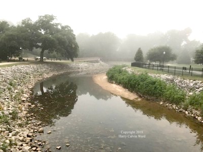 A creek on a foggy morning