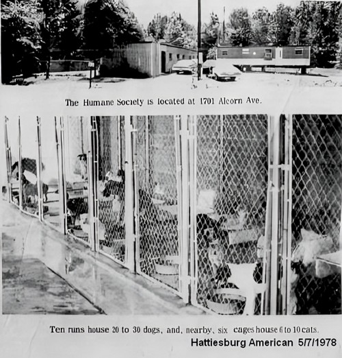 Shelter on Alcorn St