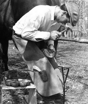 Unidentified photo e058